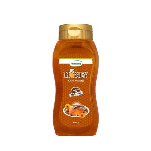 Hamdard Honey 480 gm